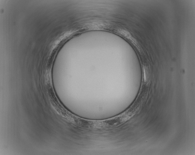 X0000071900579200607281805