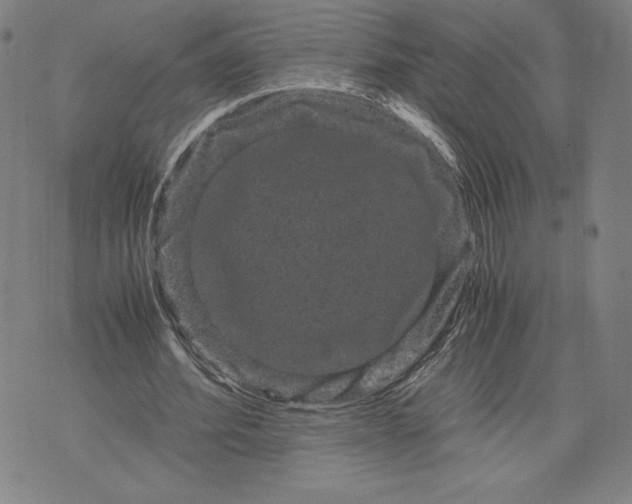 X0000071900580200607281805