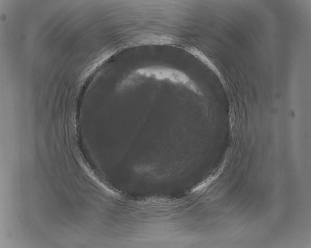 X0000071900581200607281805