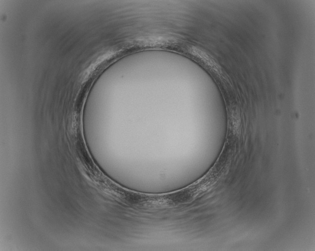 X0000071900583200607281805