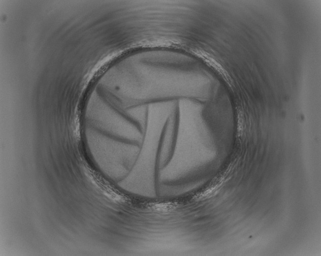 X0000071900584200607281805