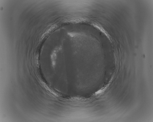 X0000071900585200607281805