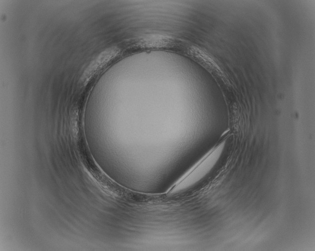 X0000071900586200607281805