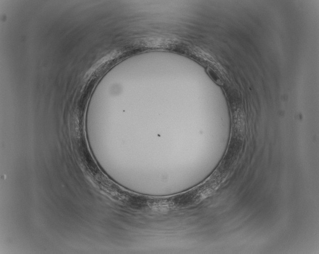 X0000071900587200607281805