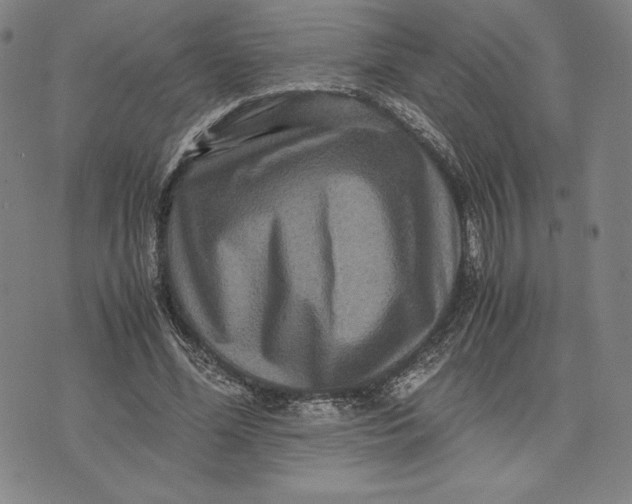 X0000071900588200607281805