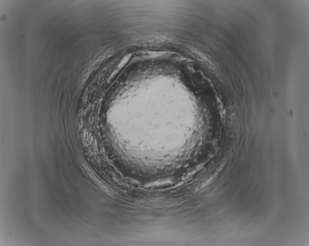 X0000071900589200607281805