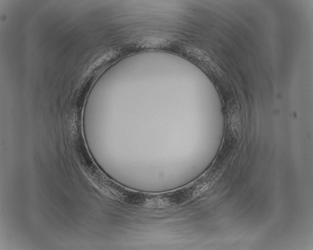 X0000071900591200607281805