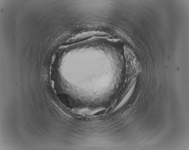 X0000071900593200607281805