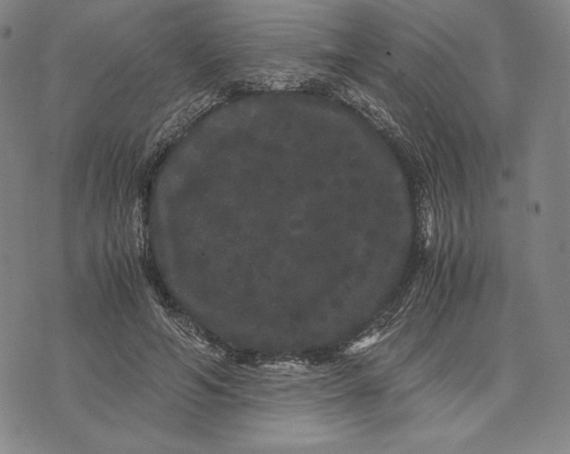 X0000071900594200607281805