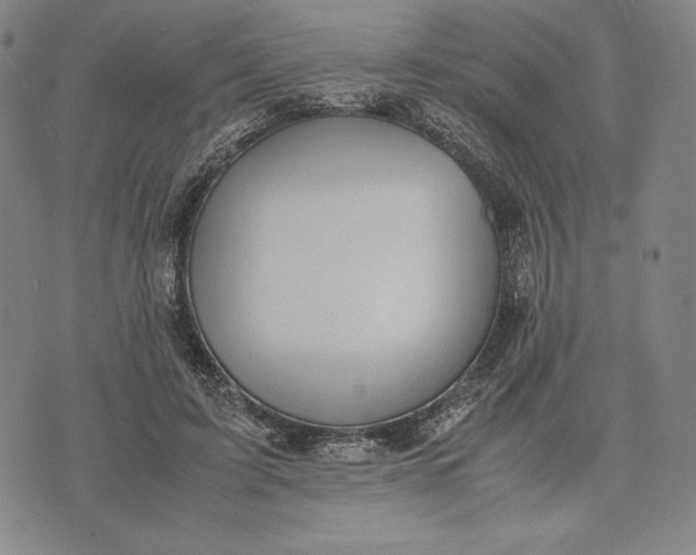 X0000071900595200607281805