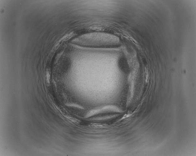 X0000071900597200607281805