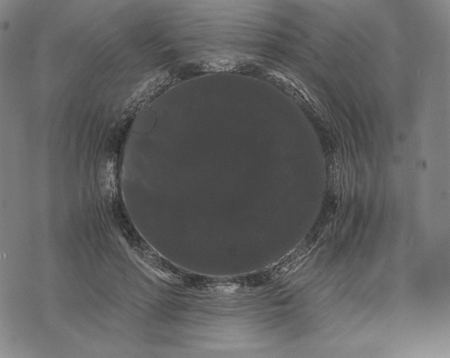 X0000071900598200607281805