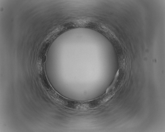 X0000071900599200607281805