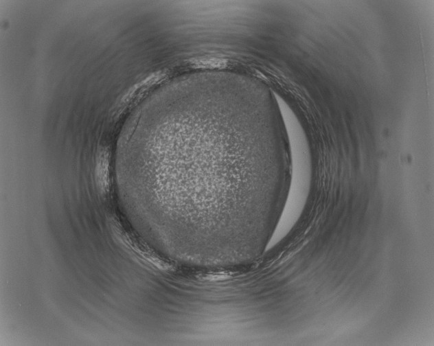 X0000071900600200607281805