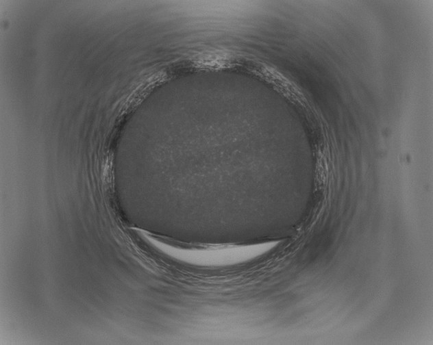 X0000071900601200607281805