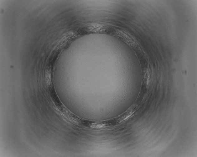 X0000071900602200607281805