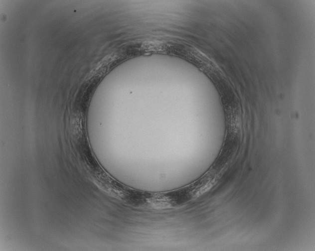 X0000071900603200607281805