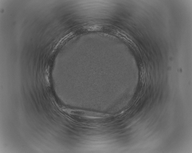 X0000071900604200607281805