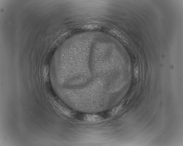 X0000071900605200607281805