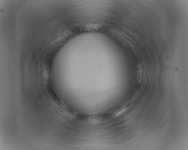 X0000071900608200607281805