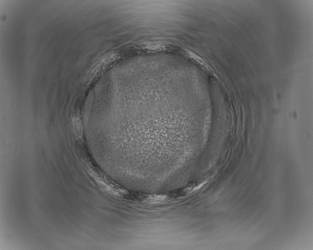 X0000071900609200607281805