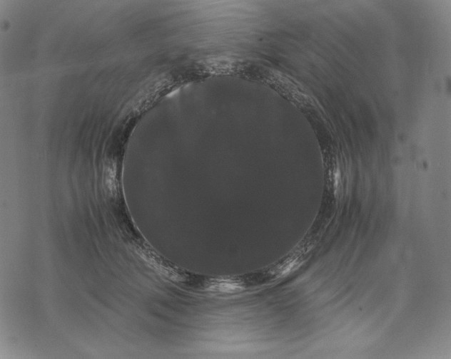 X0000071900610200607281805