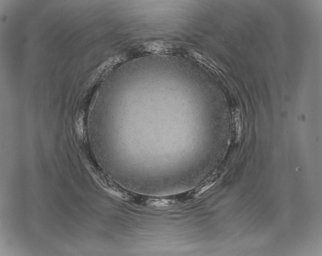 X0000071900611200607281805