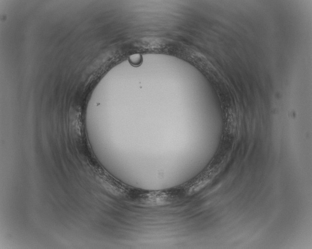 X0000071900612200607281805