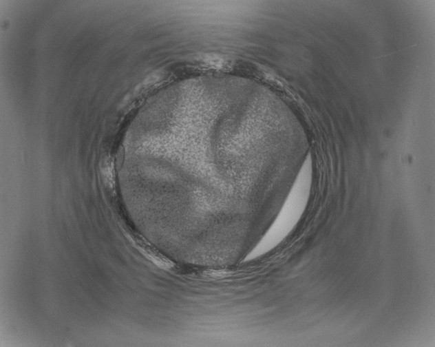 X0000071900613200607281805