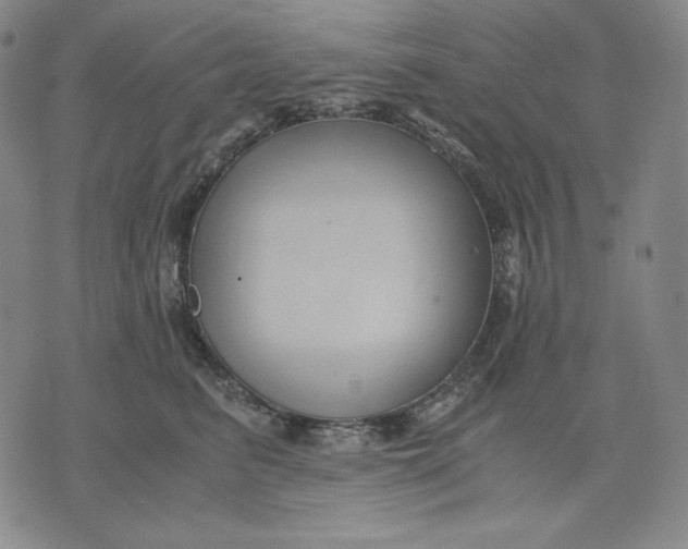 X0000071900615200607281805