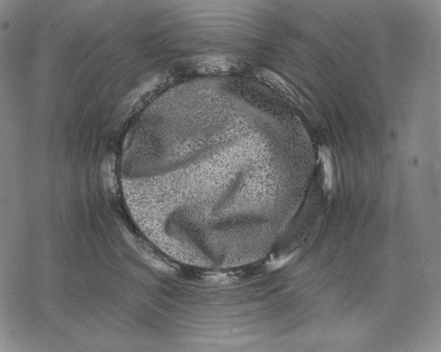 X0000071900616200607281805