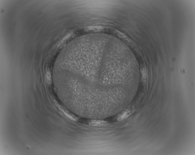 X0000071900617200607281805