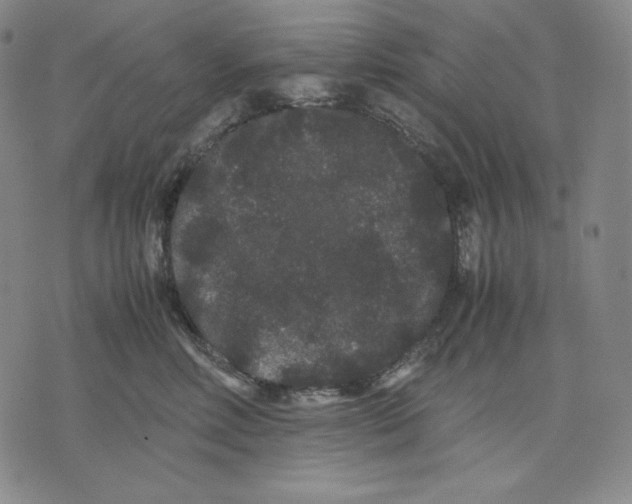 X0000071900618200607281805