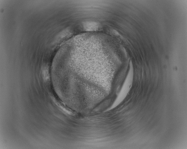 X0000071900620200607281805