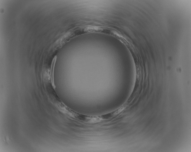 X0000071900621200607281805