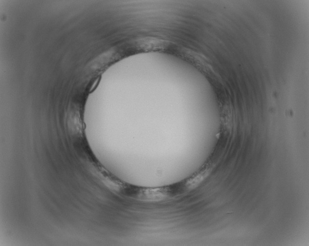 X0000071900622200607281805