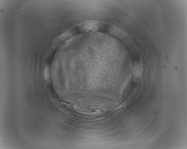 X0000071900623200607281805