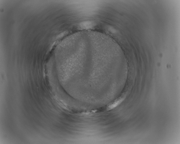 X0000071900624200607281805