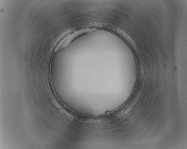 X0000071900625200607281804