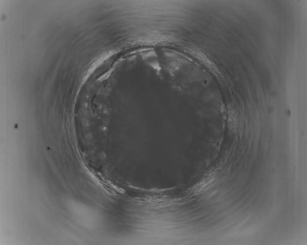 X0000071900626200607281804