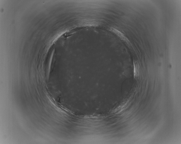 X0000071900627200607281804