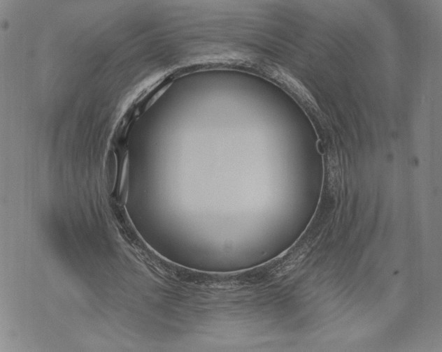 X0000071900628200607281804