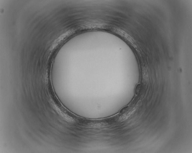 X0000071900629200607281804