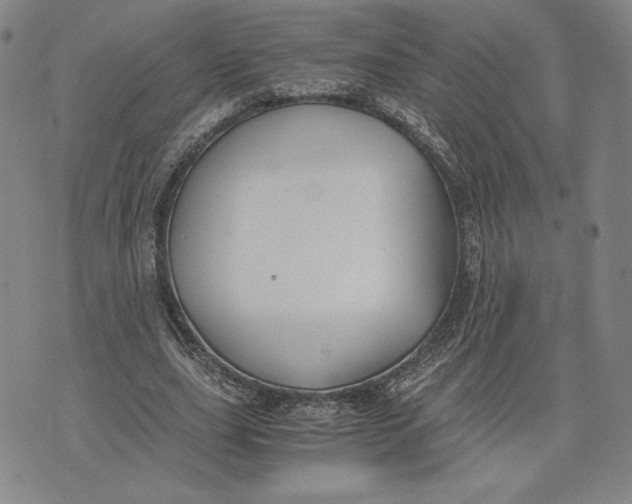 X0000071900631200607281804