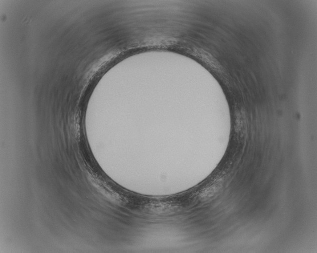 X0000071900632200607281804