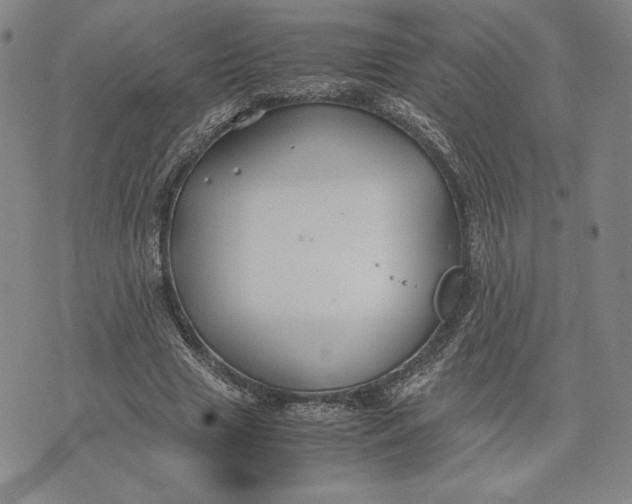 X0000071900633200607281804