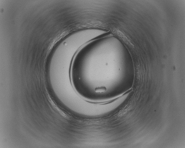 X0000071900634200607281804