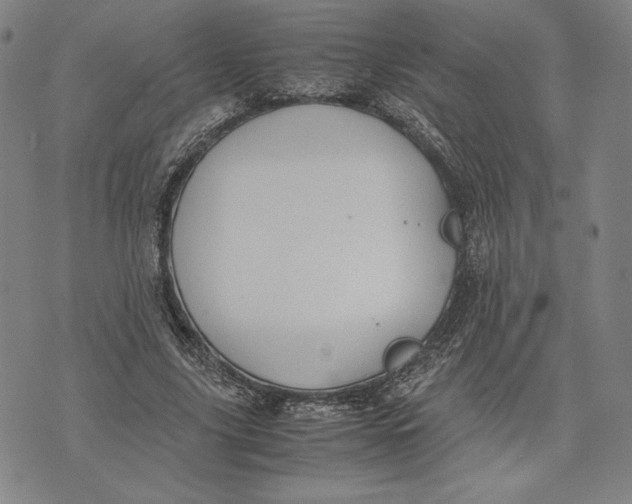 X0000071900635200607281804