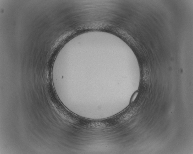 X0000071900636200607281804