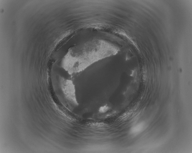 X0000071900637200607281804